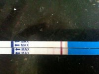 10 dpo 008.jpg