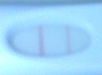 IMG00178.jpg