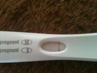 13dpo FMU FRER 007.jpg