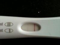 13dpo FMU FRER 017.jpg 13dpo FMU FRER 017.jpg