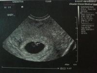 08092010 001.jpg