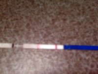 hpt test.jpg