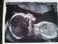 12082010639.jpg
