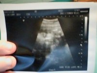Snapshot_20100812.jpg