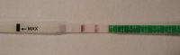 OPK.jpg