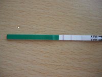 opk.jpg