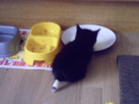 PICT0085.jpg