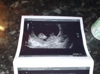 11w 6d scan.jpg