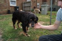 DSC00449 small.JPG