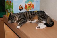 DSC00191 small.JPG