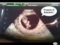 pizap.com90.291753364261239771282585238492.jpg