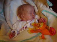 DSC00607.jpg