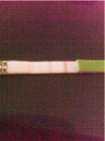 opk aug 25.jpg