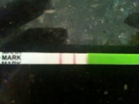 CD16 002.jpg