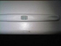 ovulation test.jpg