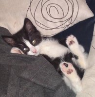 11062010199.jpg