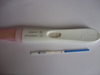 FR 18dpo.jpg