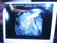 22w4d.jpg