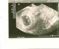 scan0001.jpg