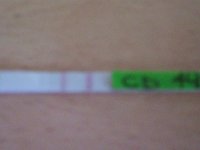 100_0539.jpg