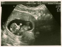 scanpic3.JPG