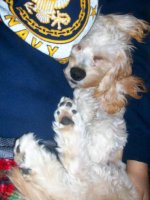 benji cuddle.jpg