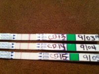 OPK Share.jpg
