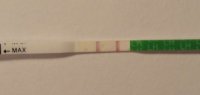 opk.jpg