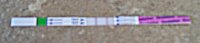 CD 18 pos OPK.jpg