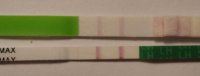opk.jpg