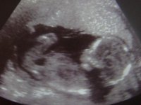 16w6d (2) - Copy.jpg