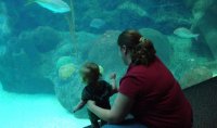 DSC02248.jpg