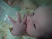 IMG00330.jpg