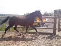 vlcsnap-2010-08-19-20h39m31s7.jpg
