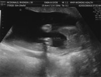 20w scan2.jpg