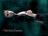 the-vampire-diaries--damon-salvatore_6155_1024x768.jpg