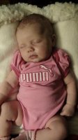 DSC00771 - Copy.jpg