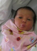 IMG_6224.jpg