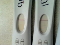 910dpo.jpg