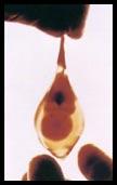 teardrop108x171.jpg