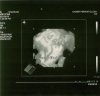 scan__2.jpg scan__2.jpg