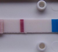 dt 924 no case.jpg