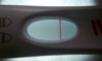 frer 924 flashlight.jpg