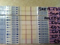 OPK1.jpg