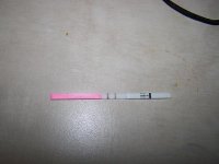 opk 003.jpg