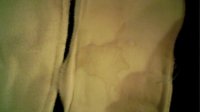 ct stain.jpg