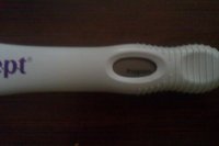 IMAG0432.jpg