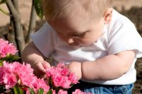 baby-flowers.jpg