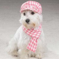 Houndstooth Dog Pink Hat and Scarf Set.JPG