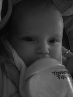 DSC00047.jpg